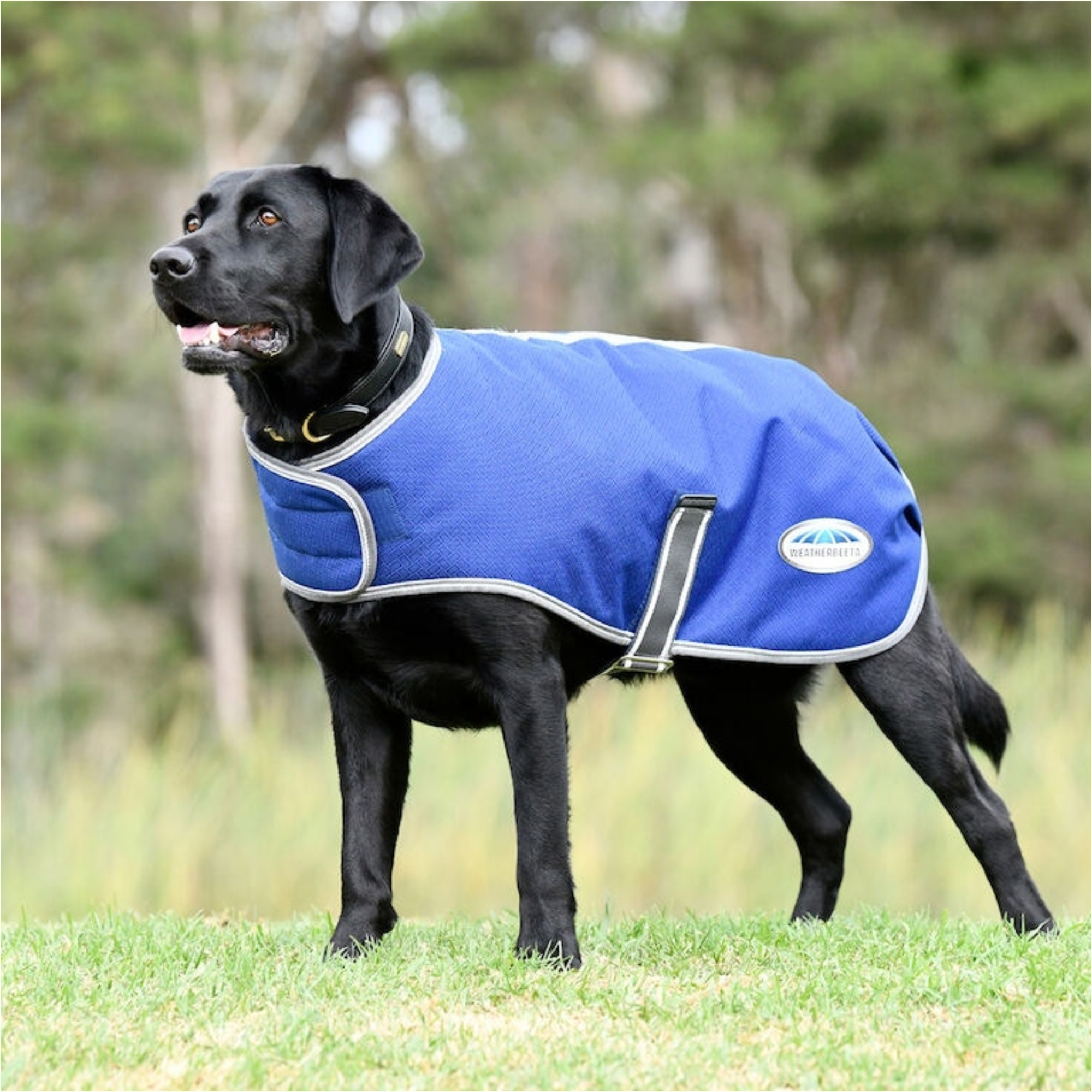 Weatherbeeta Comfitec Premier Free Parka Dog Coat - Dark Blue
